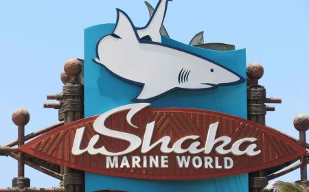 SHAKA MARINE MARINE WORLD HOSPITALITY MANAGEMENT GRADUATE INTERNSHIP (X6 POSTS)
