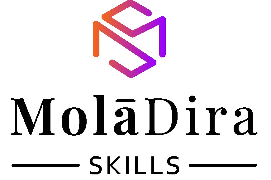 MOLADIRA SKILLS IS INVITING APPLICATIONS FOR DATA CAPTURER CLERK POST