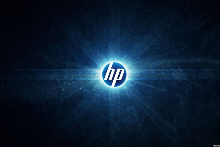 HP SOUTH AFRICA GRADUATE PROGRAM FOR THE UNEMPLOYED