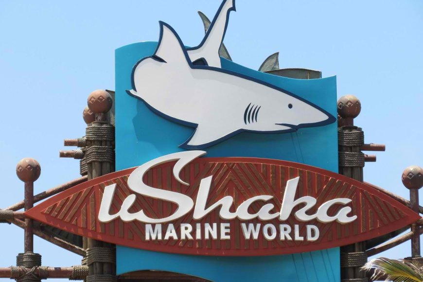 SHAKA MARINE MARINE WORLD HOSPITALITY MANAGEMENT GRADUATE INTERNSHIP (X6 POSTS)