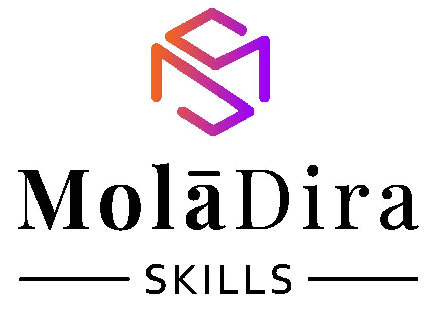 MOLADIRA SKILLS IS INVITING APPLICATIONS FOR DATA CAPTURER CLERK POST
