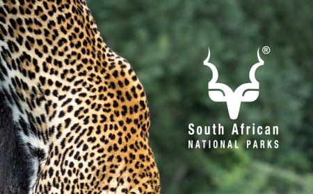 SOUTH AFRICAN NATIONAL PARKS DATA CAPTURERS (CASUAL) (X6 POSTS)