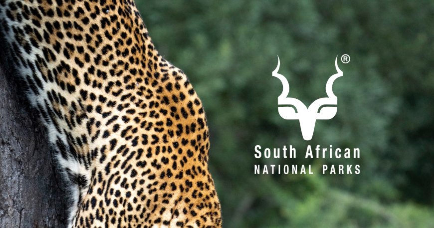 SOUTH AFRICAN NATIONAL PARKS DATA CAPTURERS (CASUAL) (X6 POSTS)