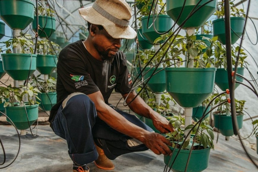 APPLY FOR MR PRICE FOUNDATION PROFFESSIONAL FARMING PROGRAMME