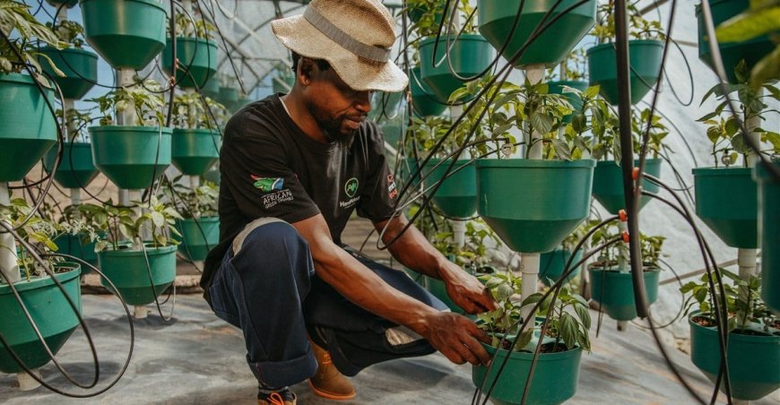 APPLY FOR MR PRICE FOUNDATION PROFFESSIONAL FARMING PROGRAMME