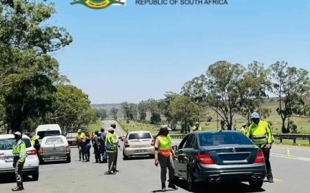 DEPARTMENT OF COMMUNITY SAFETY, SECURITY & LIAISON LEARNERSHIP PROGRAMME 2025/26: BASIC TRAFFIC OFFICERS DIPLOMA