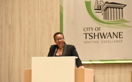 CITY OF THSWANE IS HIRING CLEANERS (X100 POSTS) (FIXED-TERM CONTRACT, NOT EXCEEDING A PERIOD OF THREE YEARS)