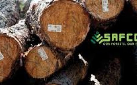 SAFCOL LEARNERSHIP PROGRAMME FOR THE UNEMPLOYED IN (SIVICULTURE, MERCHANISED HARVESTING, GETC)