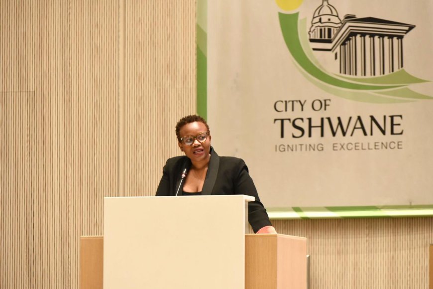 CITY OF THSWANE IS HIRING CLEANERS (X100 POSTS) (FIXED-TERM CONTRACT, NOT EXCEEDING A PERIOD OF THREE YEARS)