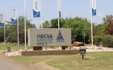 NECSA IS HIRING A CLEANER