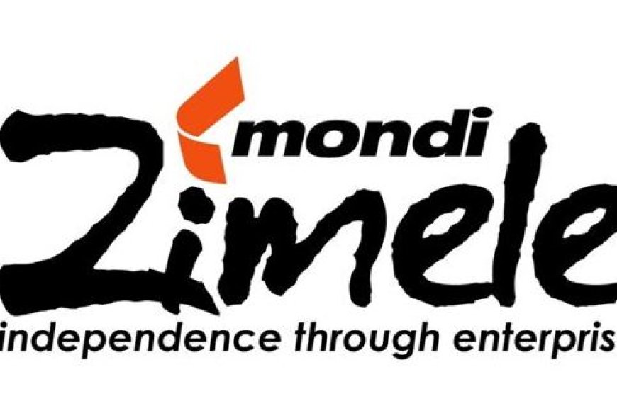 MONDLI ZIMELE IS OFFERING TRAINING OF UNEMPLOYED YOUTH AS TRADE ARTISANS