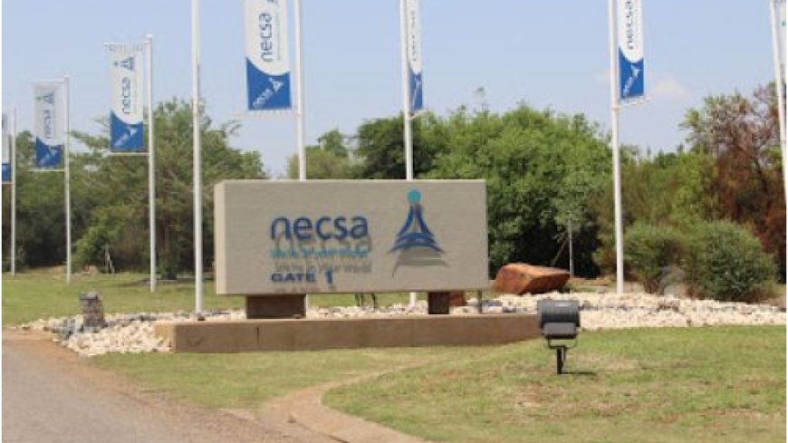NECSA IS HIRING A CLEANER