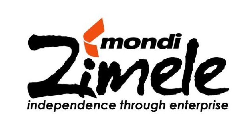 MONDLI ZIMELE IS OFFERING TRAINING OF UNEMPLOYED YOUTH AS TRADE ARTISANS