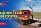 Transnet Hiring Trainee Train Assistants (Worcester & Bellville) – Apply Now