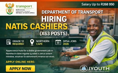 Department of Transport Hiring NaTIS Cashiers (X63 Posts) – Salary Up to R268 950