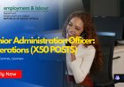 Department of Labour is Hiring Senior Administration Officers 2026 (x50 Posts) -  Apply Before 05 May