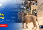 SANParks Driver Job 2026 at Mountain Zebra National Park (PDP Required – Apply Before 14 May)