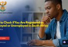 How to Check if You Are Registered as Employed or Unemployed in South Africa