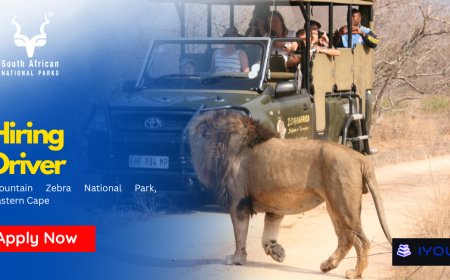 SANParks Driver Job 2026 at Mountain Zebra National Park (PDP Required – Apply Before 14 May)
