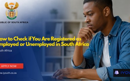 How to Check if You Are Registered as Employed or Unemployed in South Africa