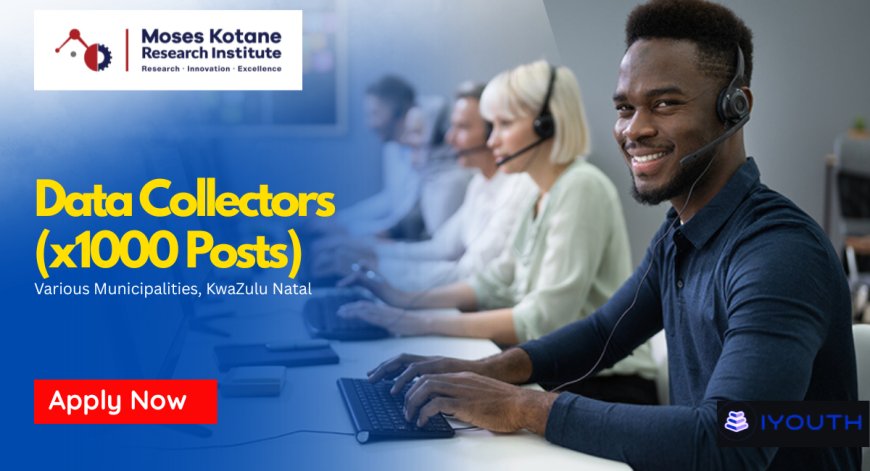1000 Data Collector Jobs Open in KZN for Graduates (MKRI 2026 Applications Now Open)