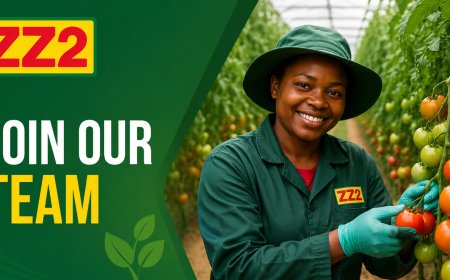 ZZ2 Careers 2026: Submit Your CV for Learnerships, Apprenticeships, Bursaries and Agricultural Job Opportunities