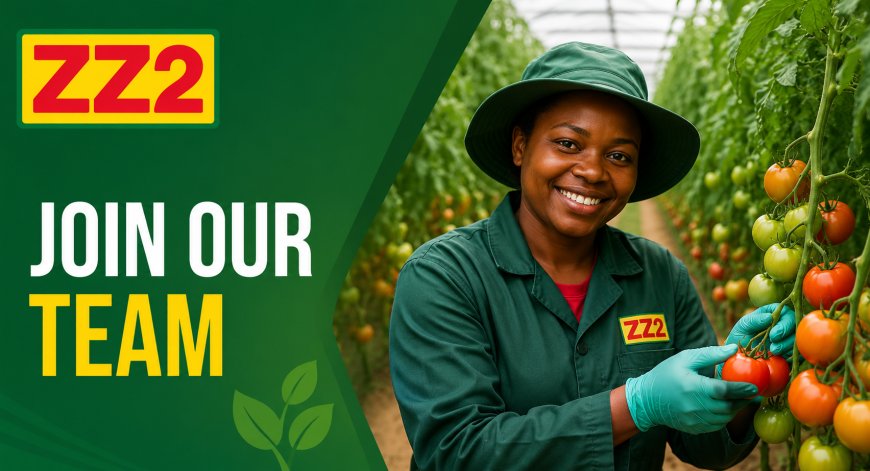 ZZ2 Careers 2026: Submit Your CV for Learnerships, Apprenticeships, Bursaries and Agricultural Job Opportunities