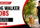 Dog Walker Jobs in South Africa: Get Paid to Walk Dogs – Apply for Pet Care Opportunities