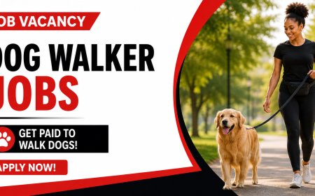 Dog Walker Jobs in South Africa: Get Paid to Walk Dogs – Apply for Pet Care Opportunities