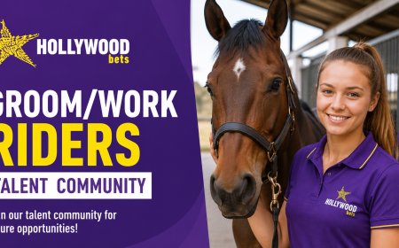 Hollywoodbets Groom and Work Rider Jobs in KwaZulu-Natal – Join the Talent Community