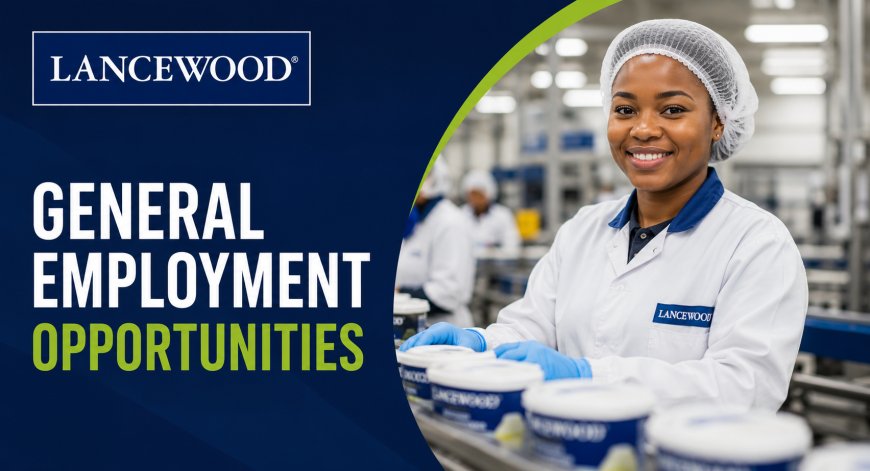 Lancewood General Employment Opportunities 2026: Cleaning, Packing, Warehouse and Factory Jobs