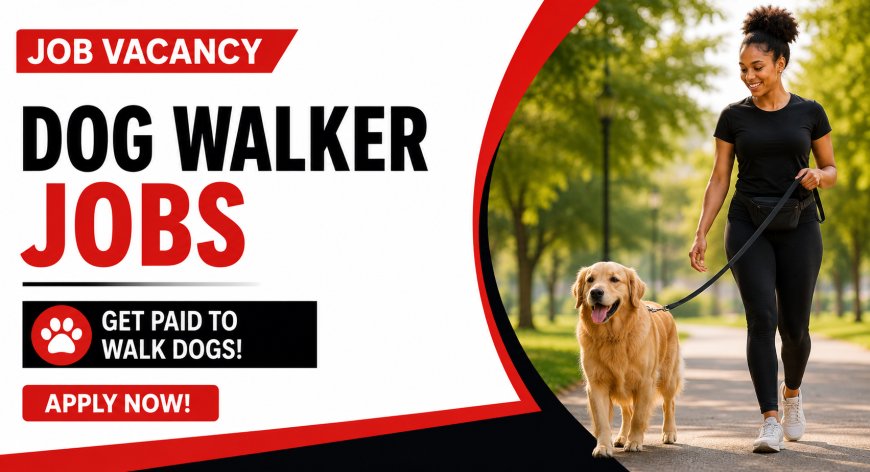Dog Walker Jobs in South Africa: Get Paid to Walk Dogs – Apply for Pet Care Opportunities