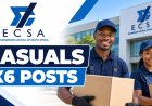 ECSA Casual Jobs 2026: 6 Vacancies Available in Johannesburg – Apply Now
