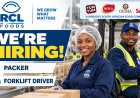 RCL Foods Is Hiring Packer & Forklift Driver - Apply Now