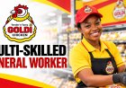 Goldi Retail Factory Shop Multi-Skilled General Worker Job 2026 – Standerton